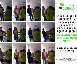 Mercados-Villa-gladys-3
